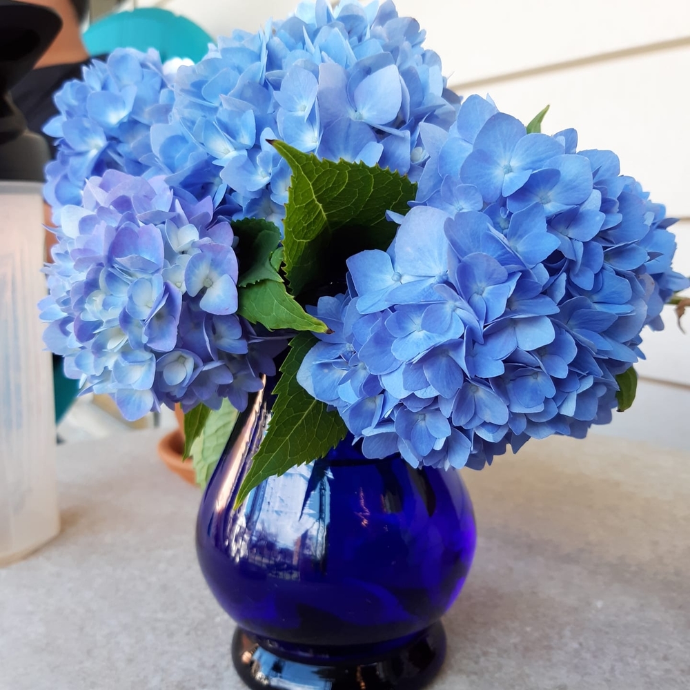 Meet your Posher, Becky